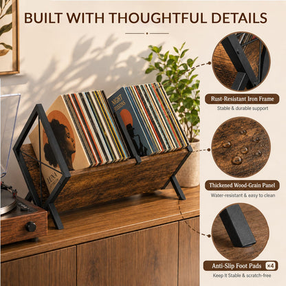 Hormes Vinyl Record Storage Rack, 80–100 LP Record Holder Stand